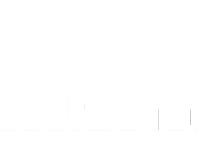 mizuno logo