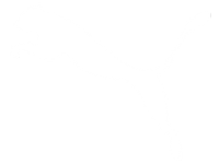puma logo